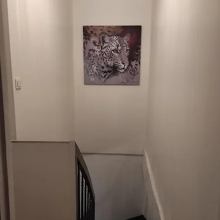 La Maison Du Bonheur אלנסון